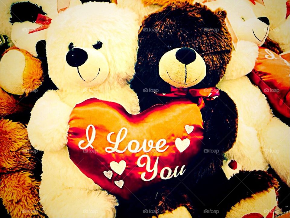 Love bears