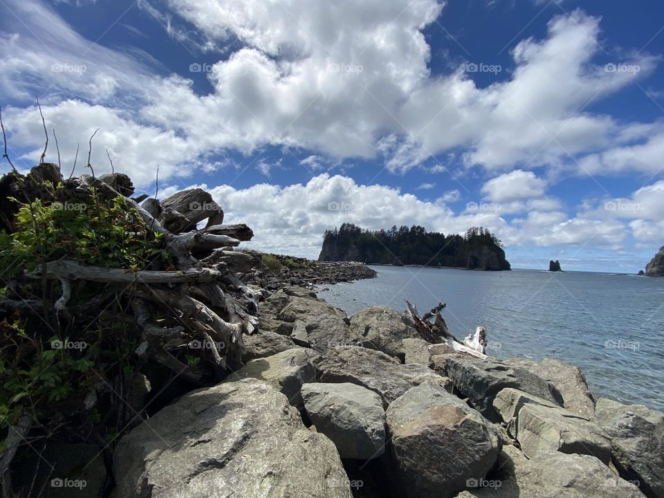 Puffy clouds over driftwood and rocky shore