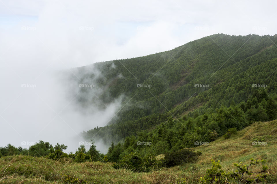 Hiking on Pico da Vara the highest mountain of Sao Miguel island, Azores, Portugal. A cloudy day.