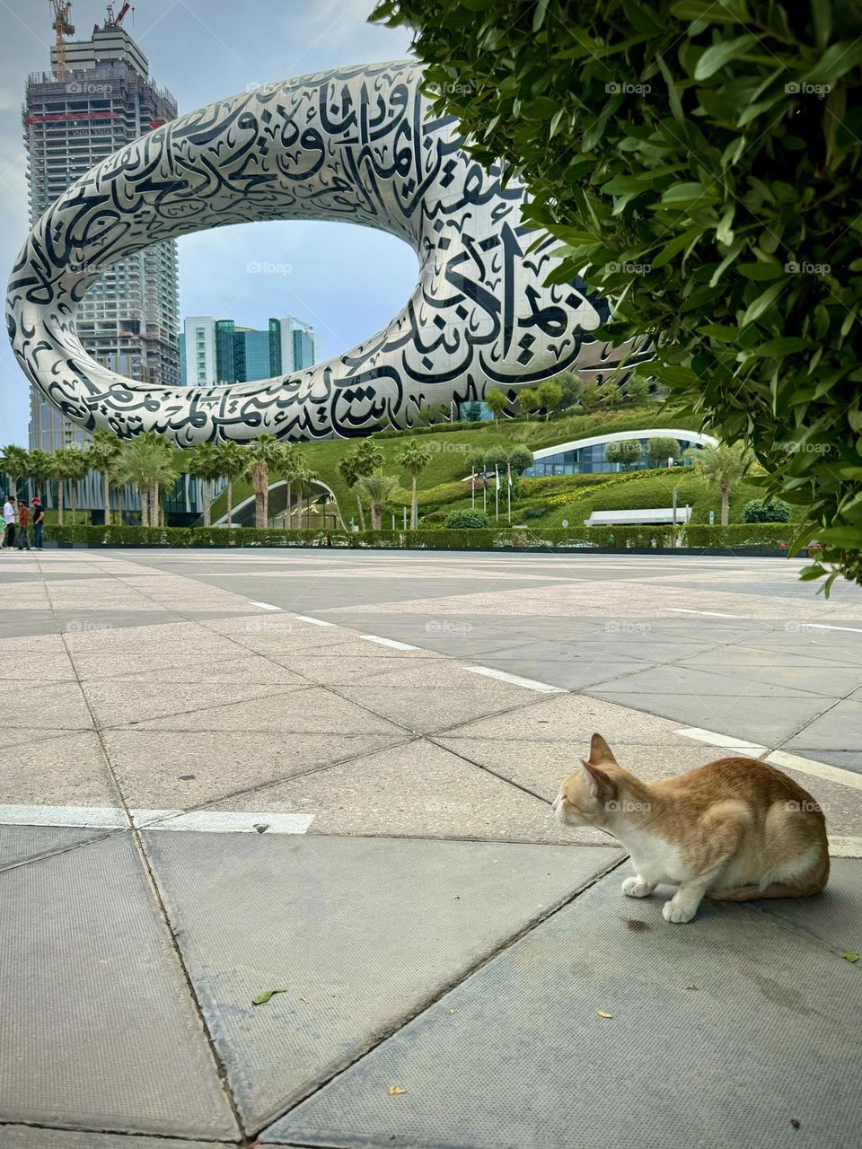 Red cat sitting in front of Museum of the Future 