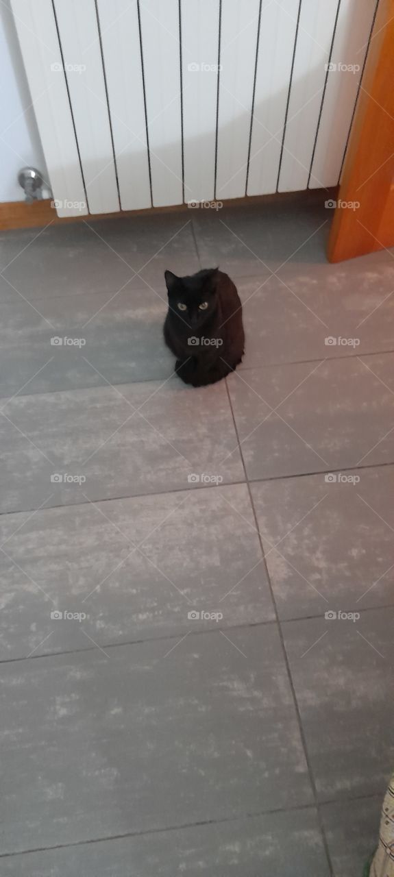 waiting for attention