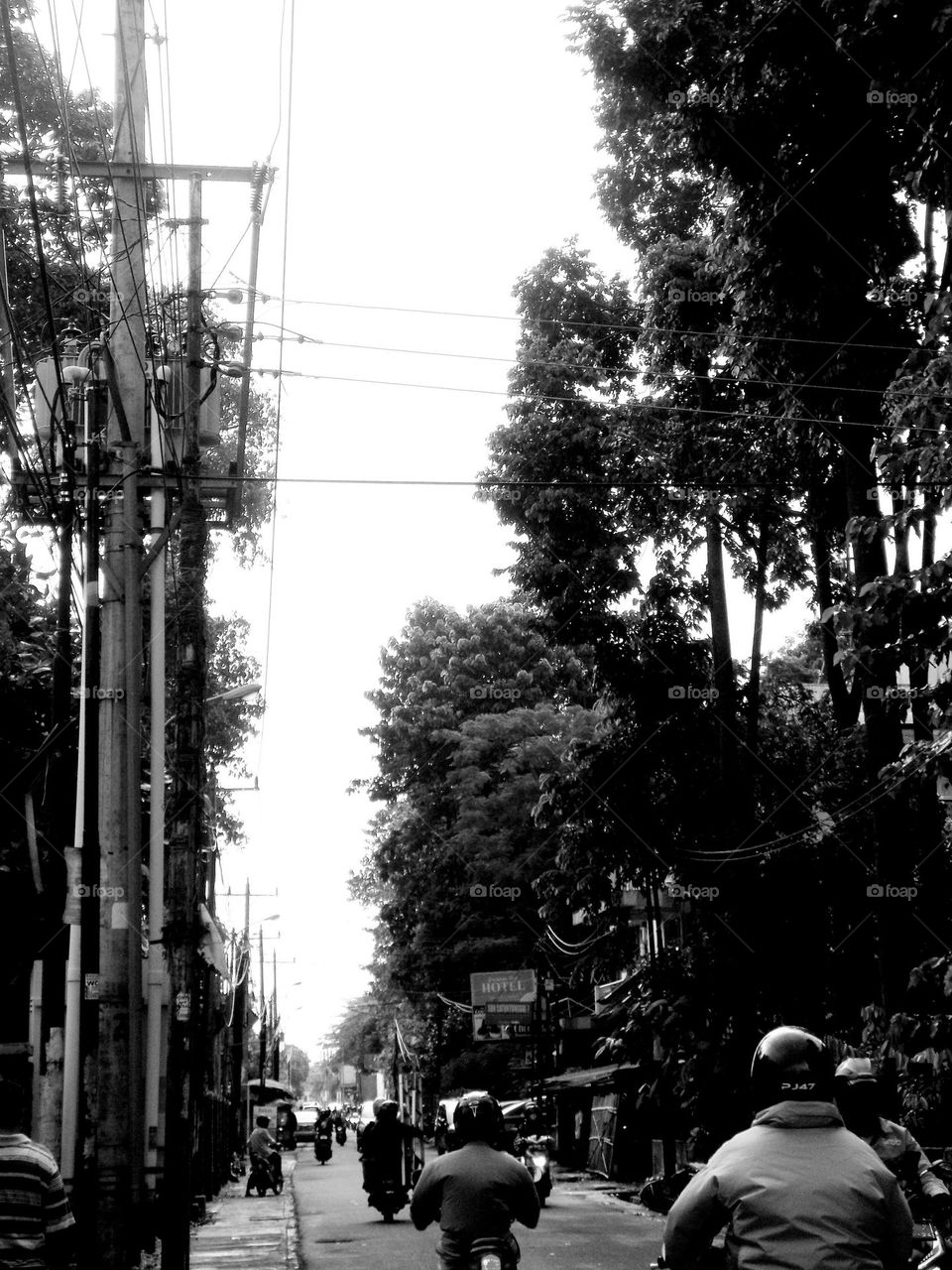 Along the tree-lined road