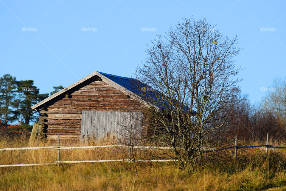 barn sky nature