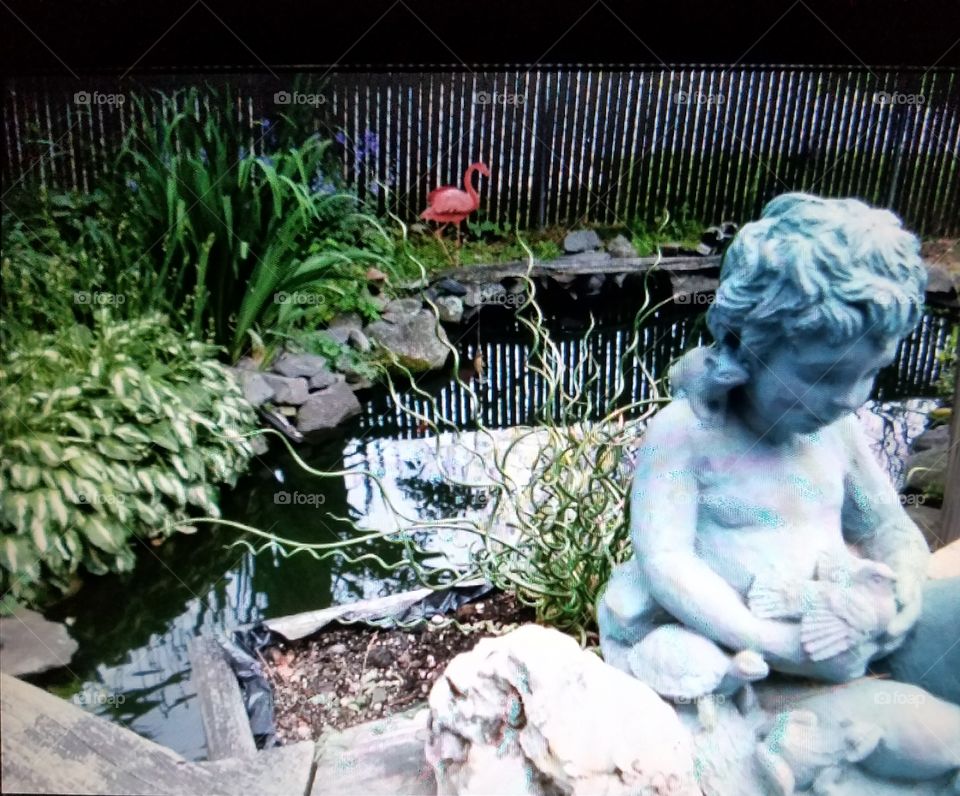 Statue overlooking backyard koi pond surrounded by foliage, rocks & a pink flamingo.