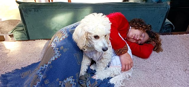 girl and the pet dog