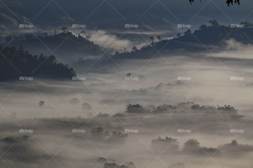 Fog over trees at mountain