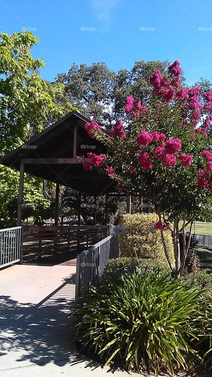 Little Creek Bridge. Out for a walk in the park