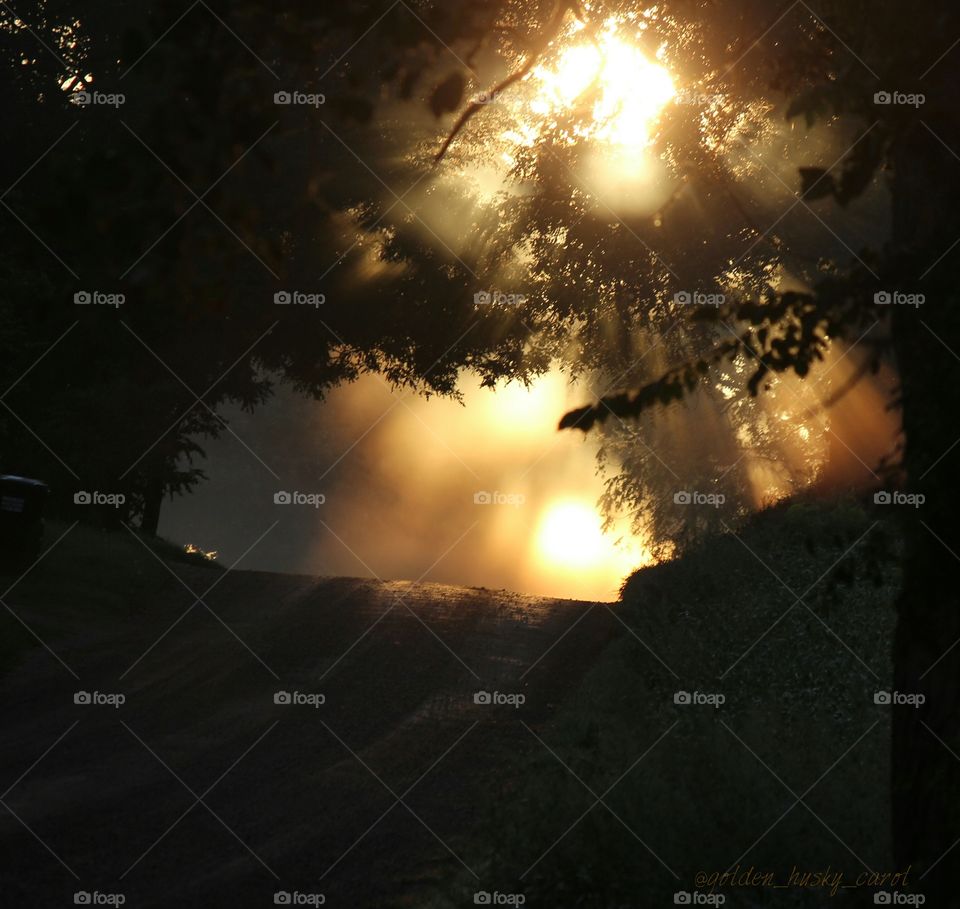 Good morning sunshine