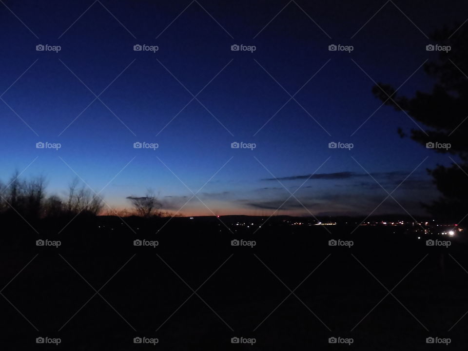 Night sky with city lights and tree silhouettes