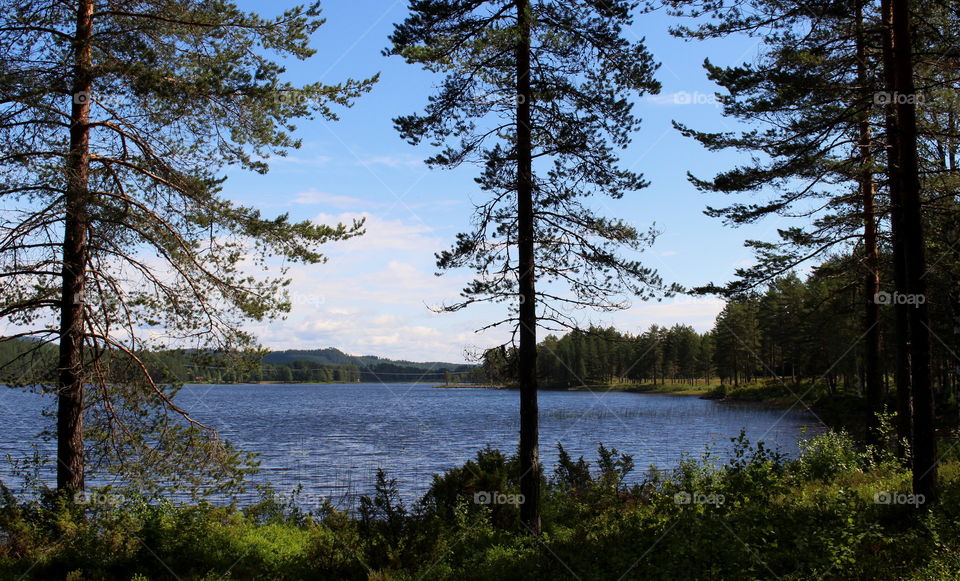 Lake in Sweden.