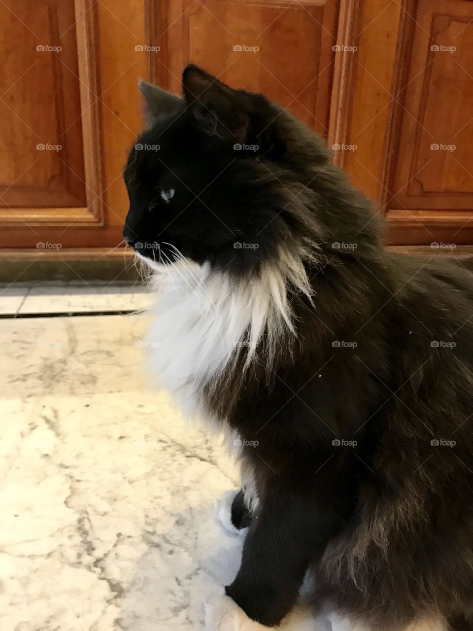 I'm too good for you 