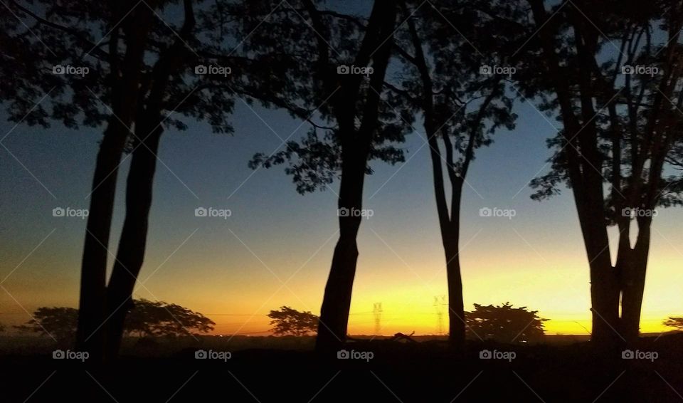 A multicolored sky with the evening lights on the horizon highlighting the silhouettes of trees