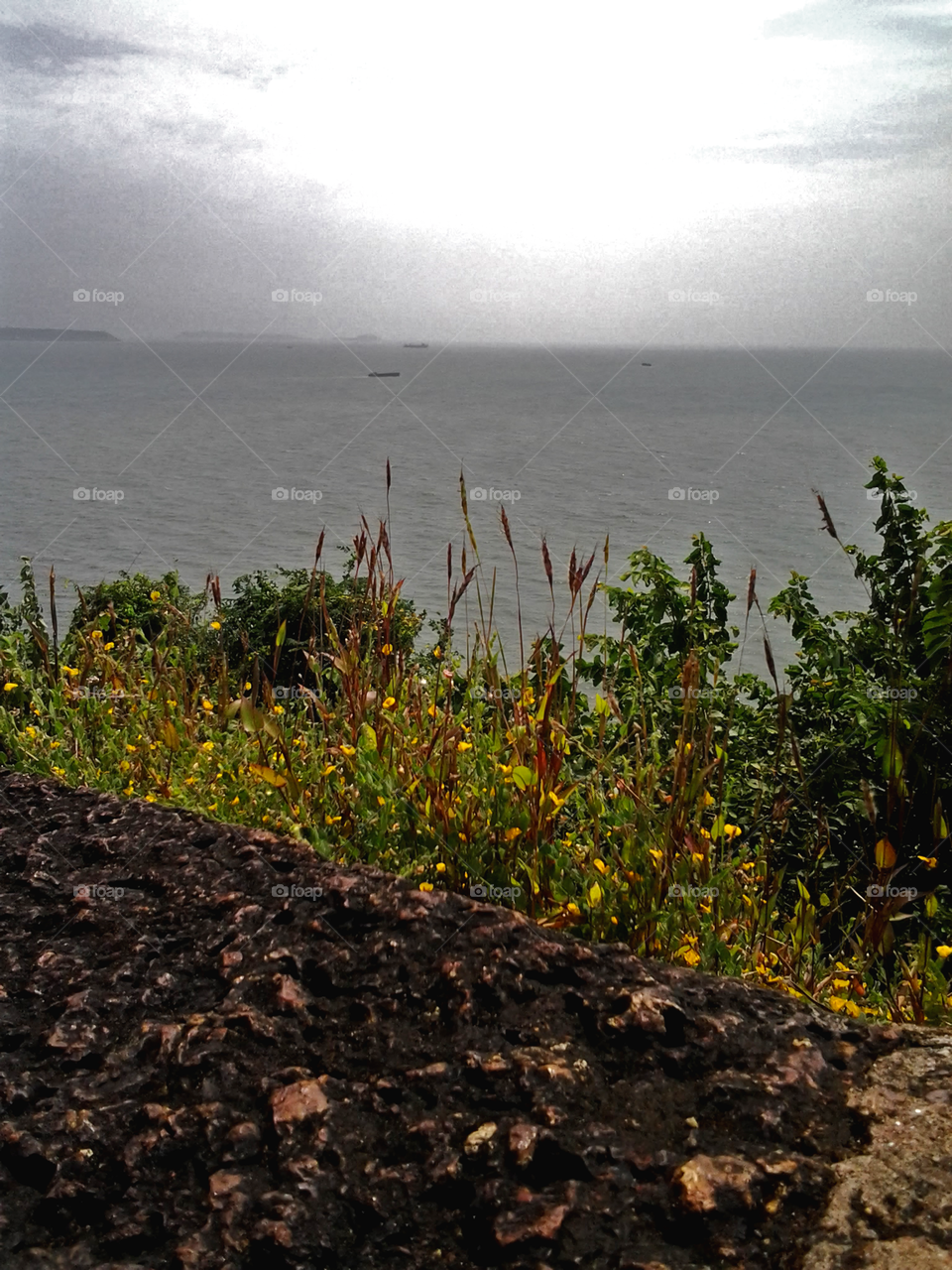 No Person, Water, Landscape, Nature, Outdoors