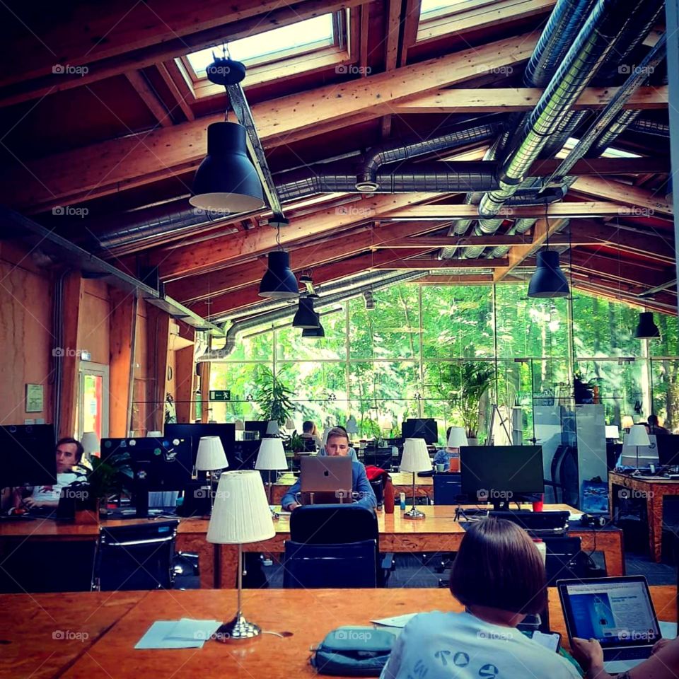 People sitting at tables with computers working together in a large room with big window towards garden, coworking