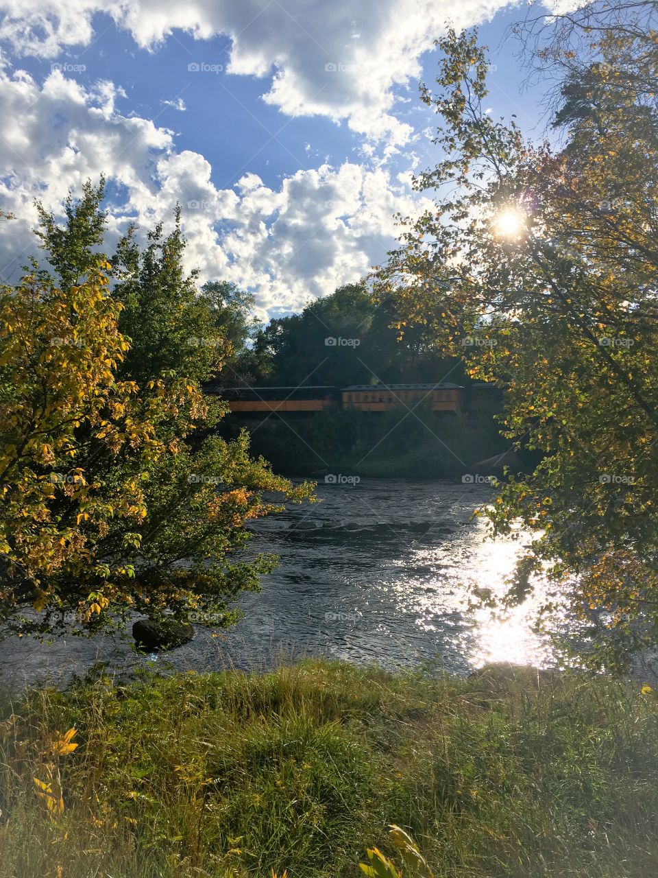 River reflection 