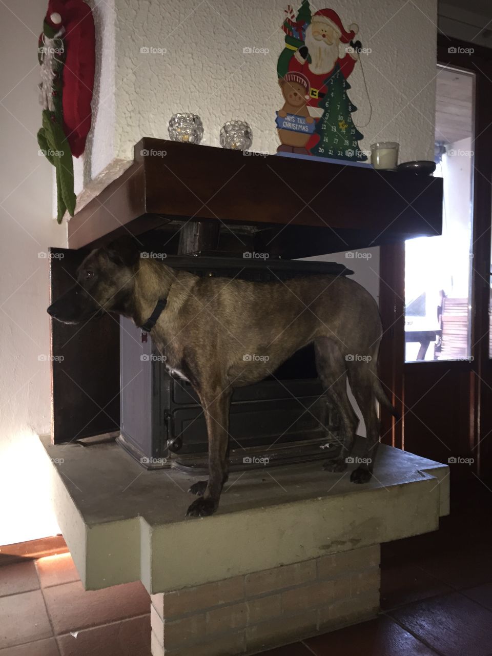 Room, Furniture, Indoors, Museum, People