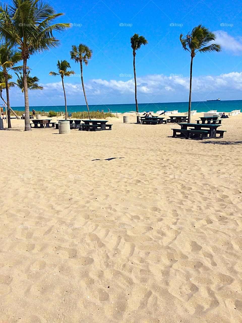 Silence of Waves. Ft Lauderdale, Beach on a cold windy day