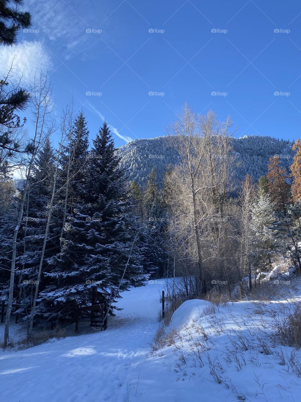 Walking into a snowy meadow. 