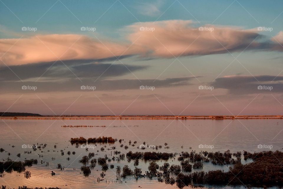 Wildlife refuge landscape #1