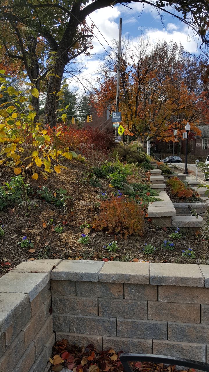 Random Photo Mt. Washington MD