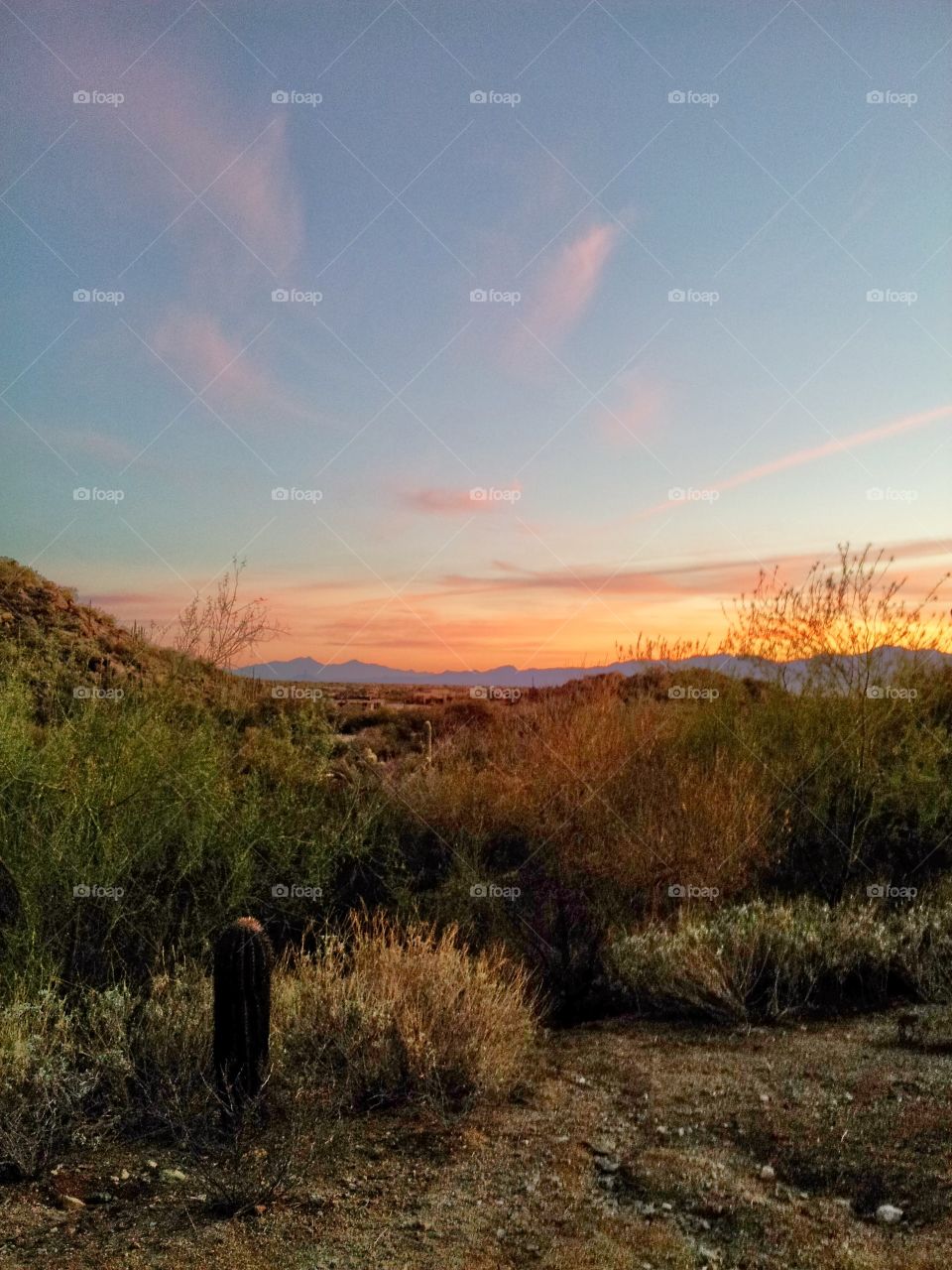 Sunset in Tucson