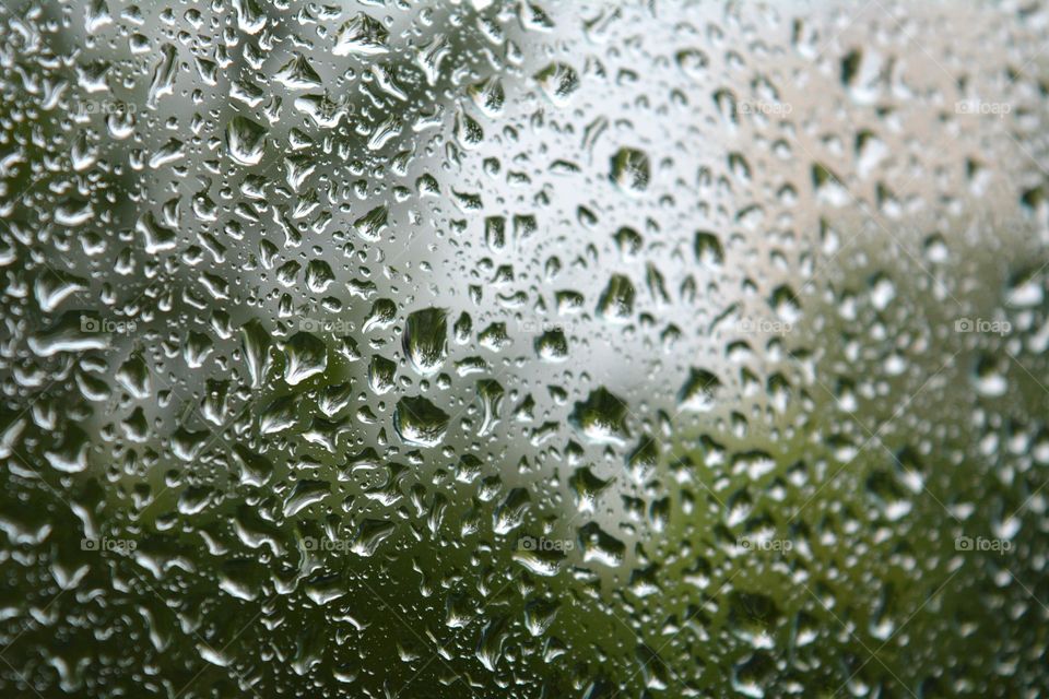 Rain, Wet, Drop, H2 O, Dew