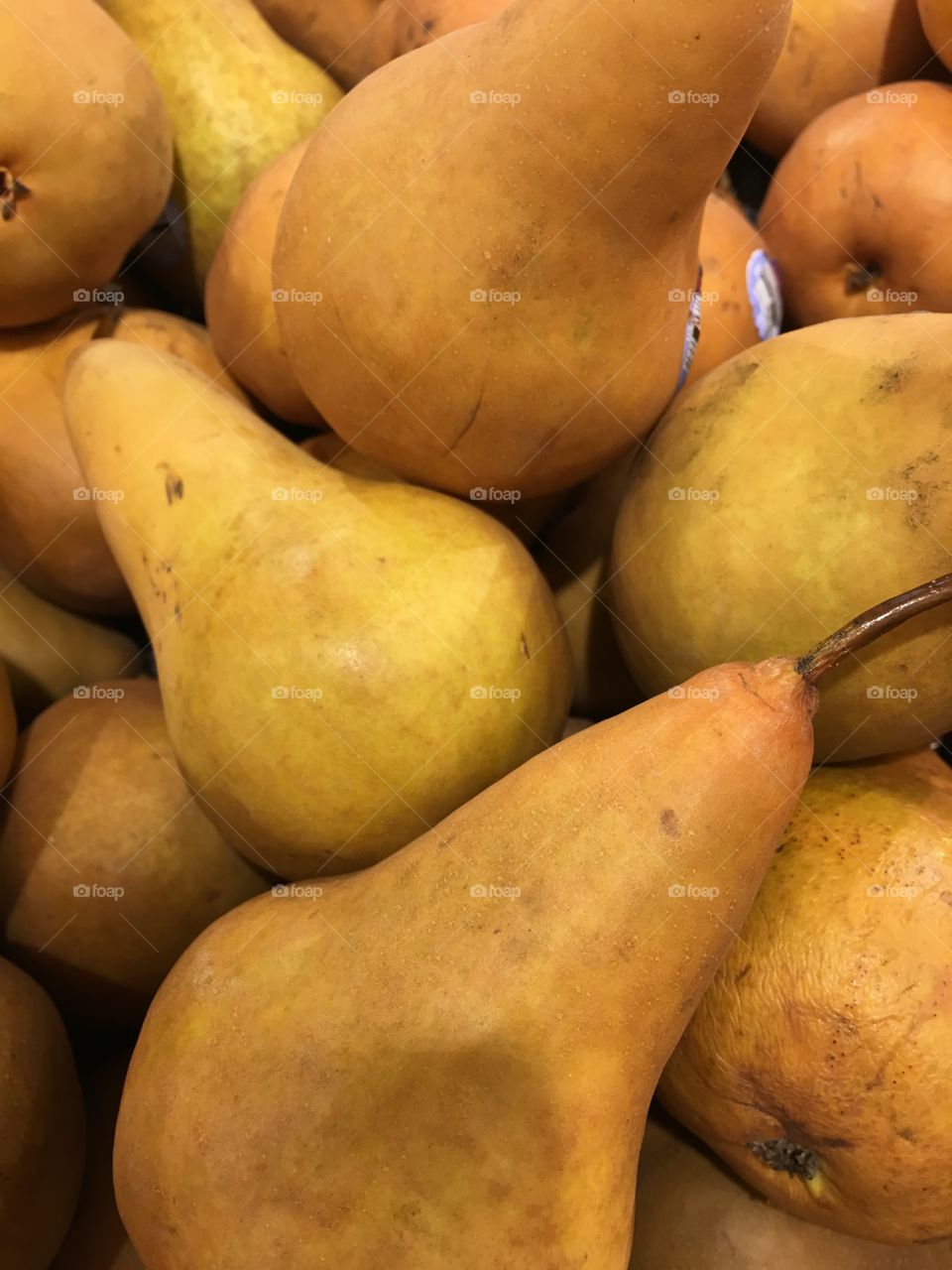 Full frame of organic yellow pears