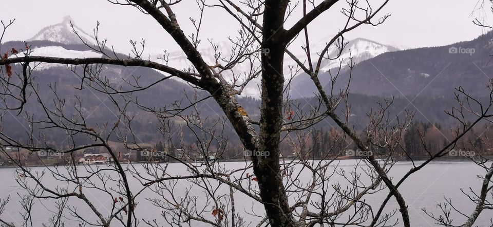 Advent in St. Wolfgang