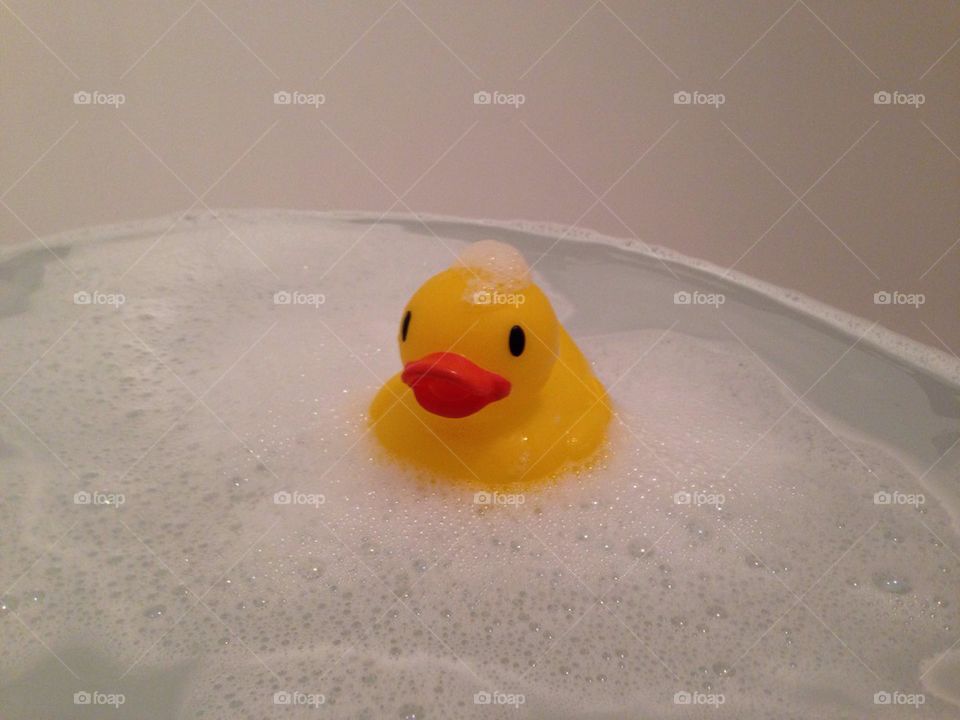Rubber duck in the bath 