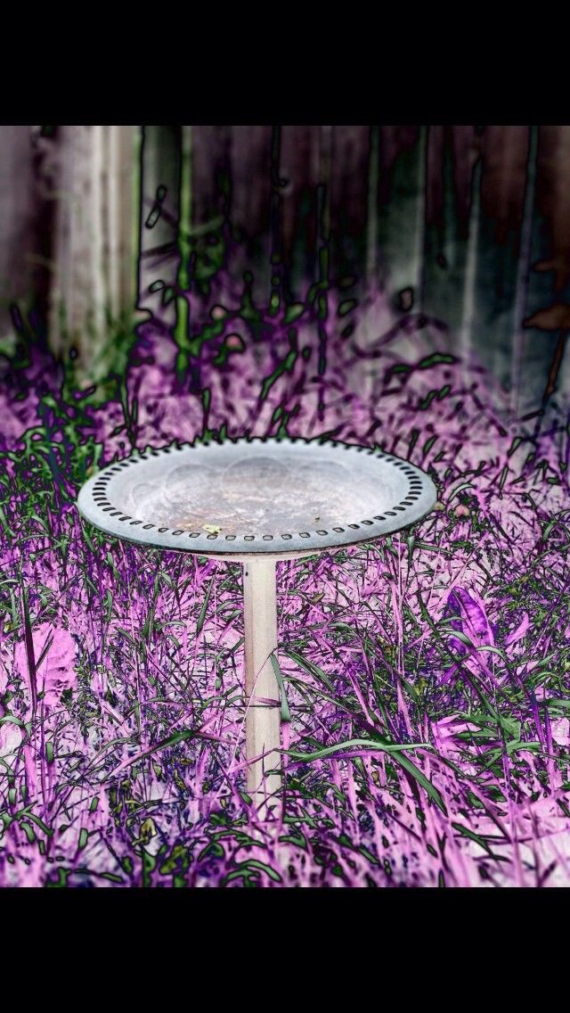 The Color Purple