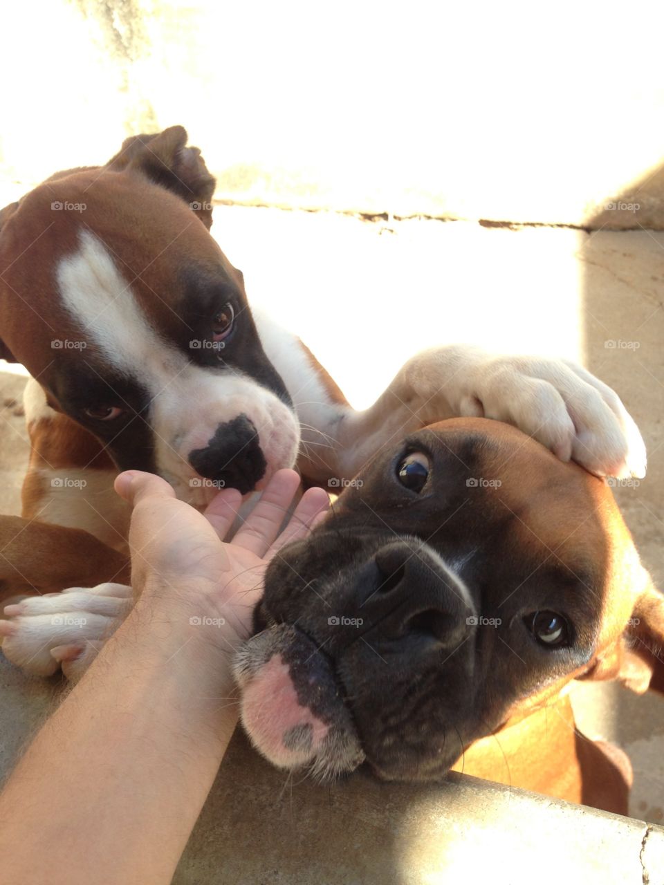 Oh, no, my haaaand D: