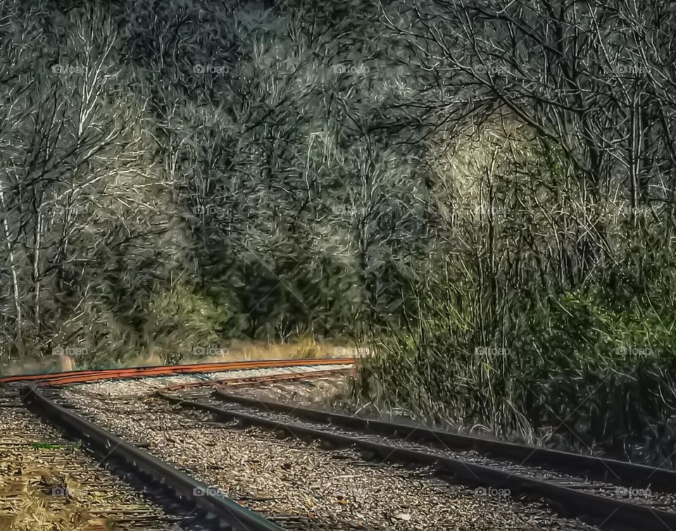 A mysterious train track leading into a dark thicket of trees and vines in the country. 