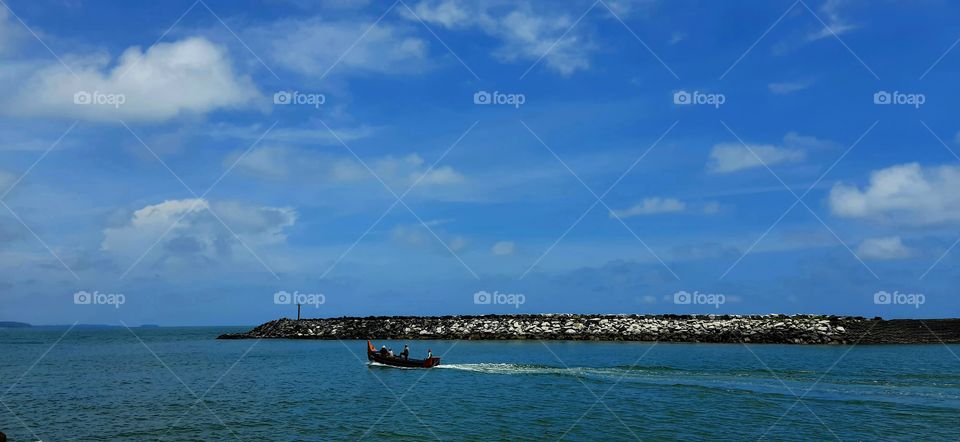 Flying To Catch the Fish