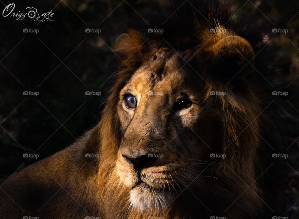 Shadows are always overwhelming, it depends on how you want to embrace it...!!!♠️