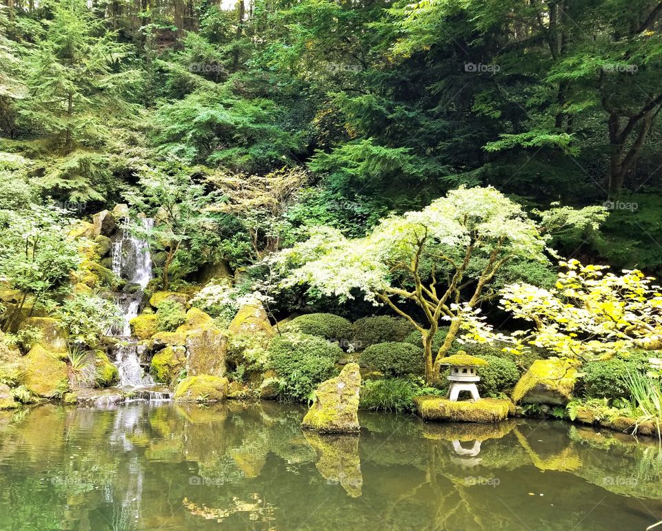 Water, Nature, Wood, River, Leaf