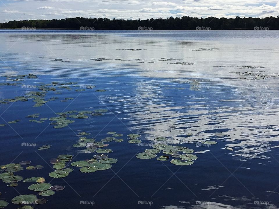 Lake and reflections 