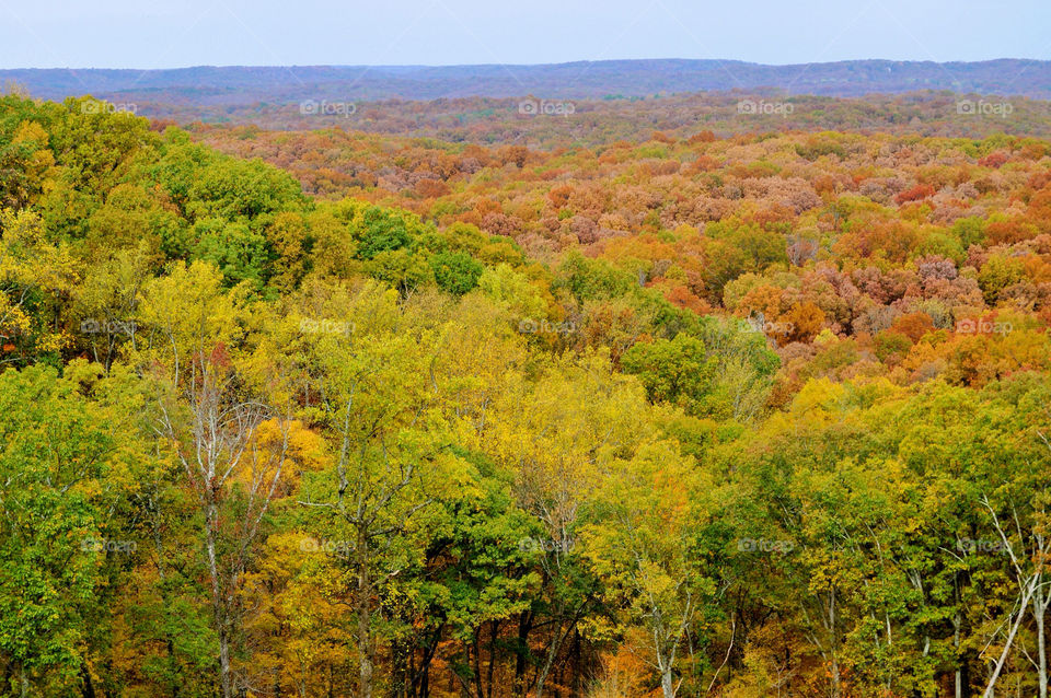 nature outdoors colors tree by refocusphoto