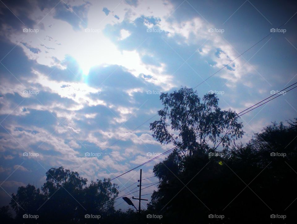 Clouds and tree