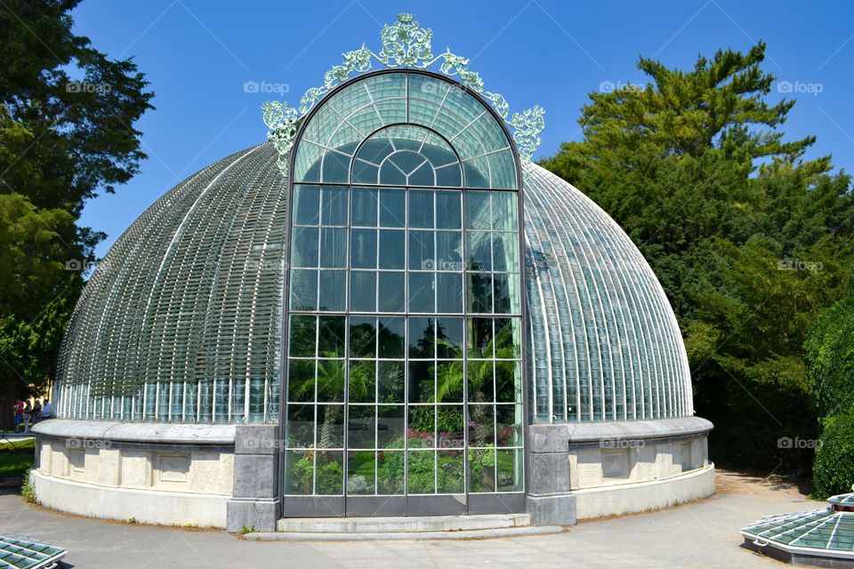 The glasshouse