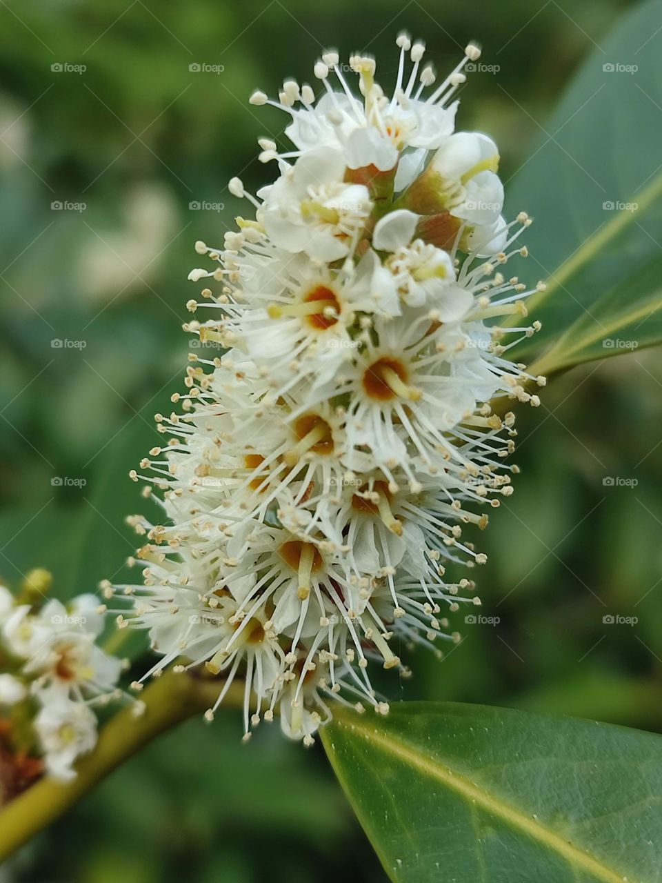 in a horticulture park