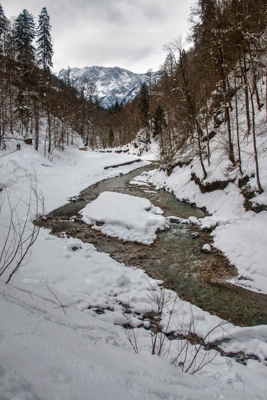 Winter in the alps