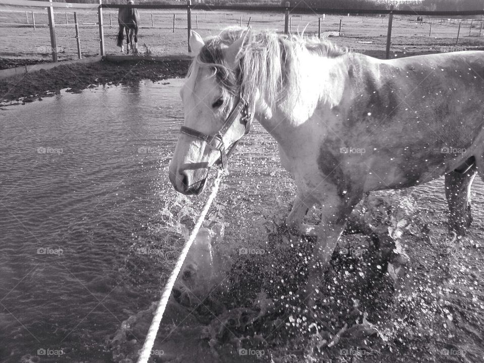 Playing in the water