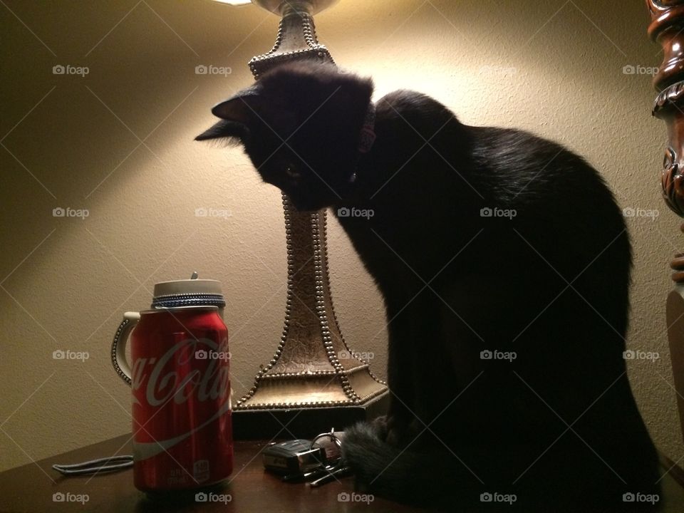 Captivated by Coke 