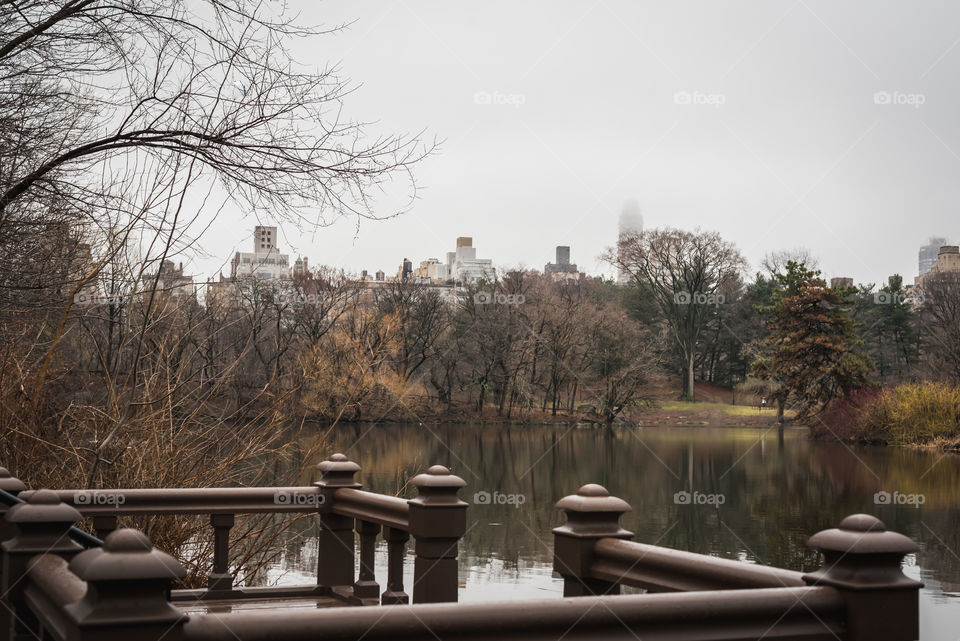 Quiet moment at the lake of Central Park in New York 