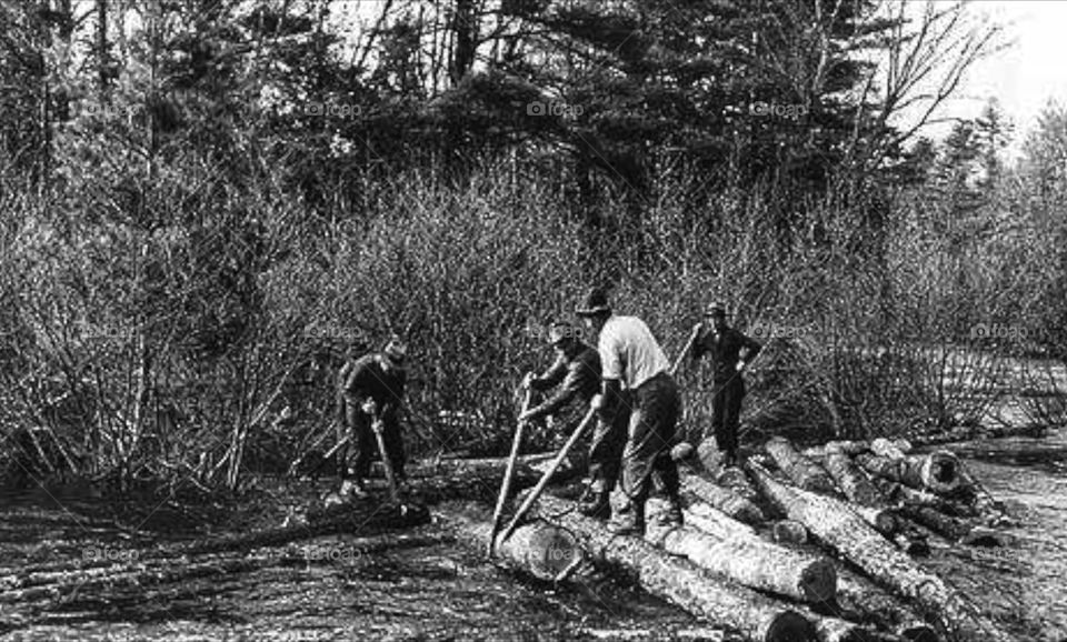 Mostra fotografica sui mestieri scomparsi. Trasportatori di legna