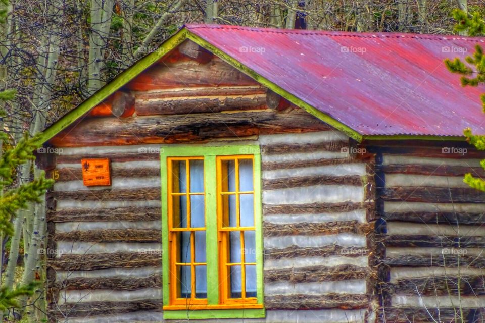 Country Cabin. old cabin