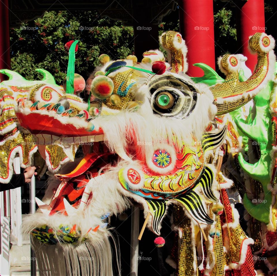 Dragon Chinese New Year