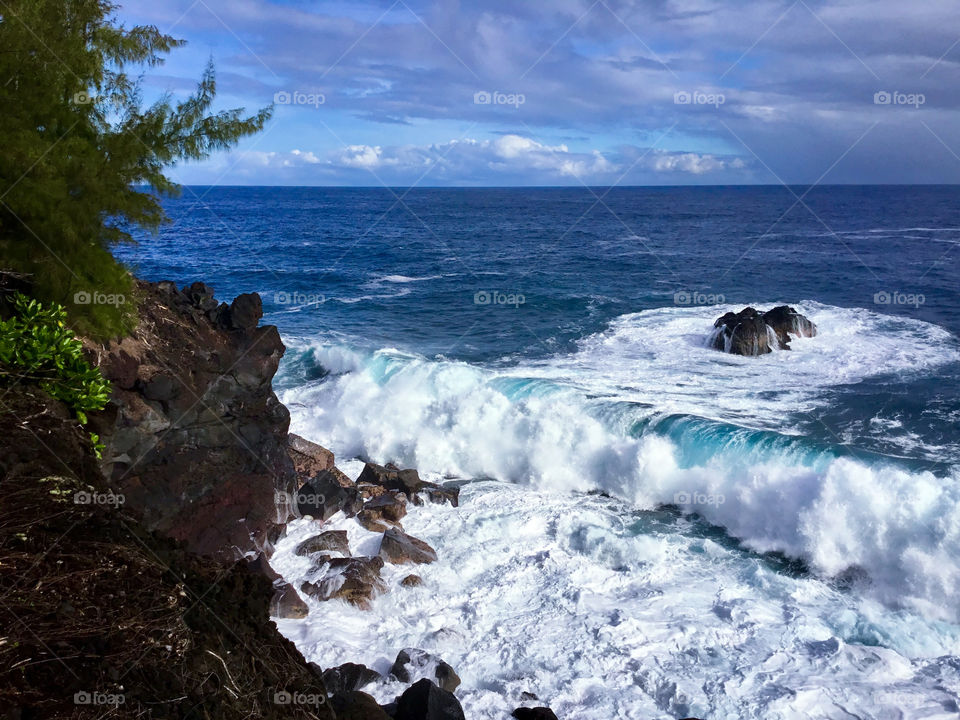 Morning at the sea cliffs