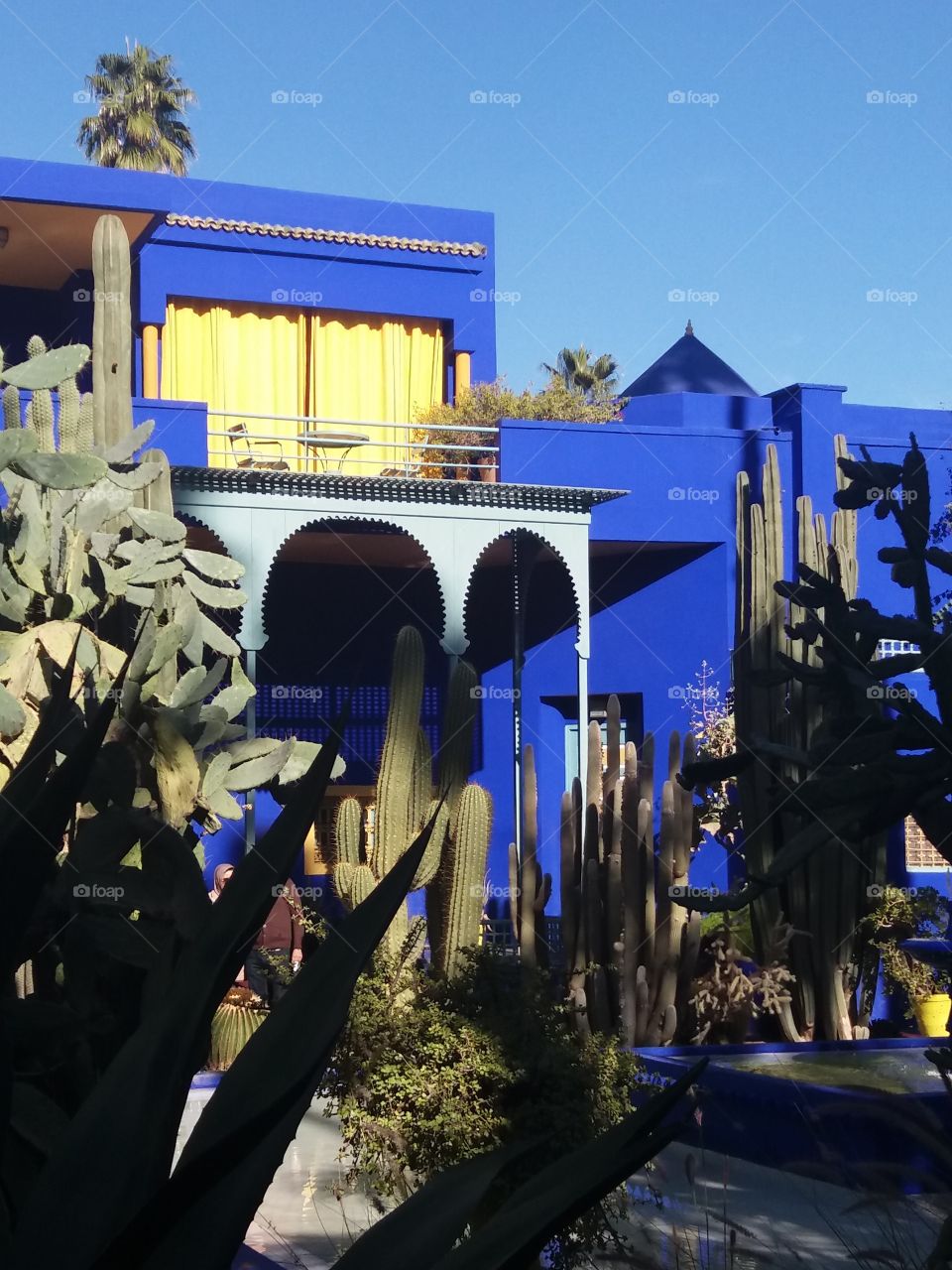 jardin majorelle marrakech morocco
