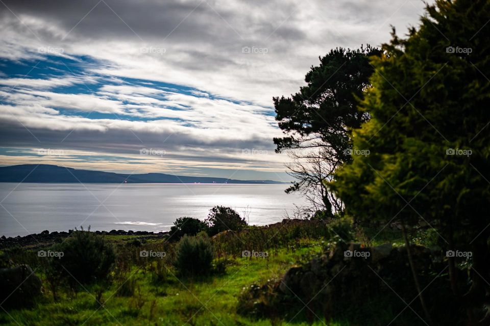 Behind the Night Trees 